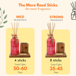 Eden Organiser Reed Diffuser