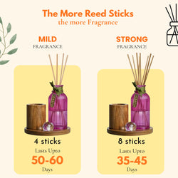 Gardenia Reed Diffuser