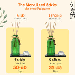 Emerald Reed Diffuser
