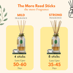 Aphro Reed Diffuser