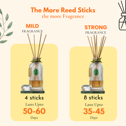 First Light Frame Reed Diffuser